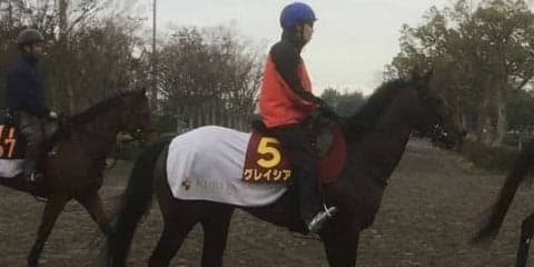 【阪神JF】グレイシア 栗田徹師「巻き返したいですね」