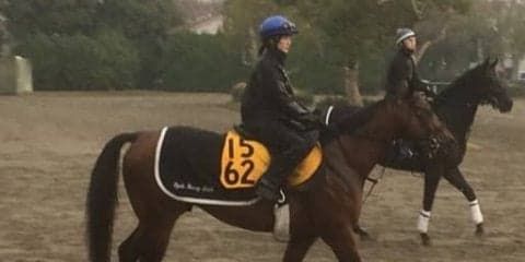 【カペラS】ブラゾンドゥリス 菜七子「いいところを引き出せるような競馬を」