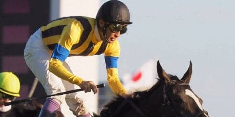 【武豊日記】香港