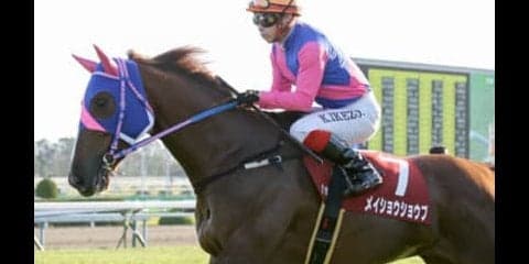 阪神JF、穴党記者の推しメン３頭。データに乏しい２歳戦こそ現場を頼れ