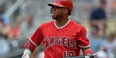 大谷の元同僚バルブエナ死亡事故で地元知事が声明　「所有物を持っていた4人を拘束」