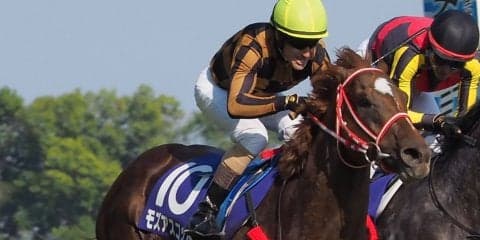 香港マイル出走馬 ペルシアンナイト モズアスコットなど出走