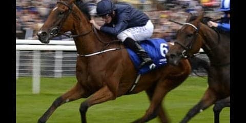 世界的な血筋を継ぐエールディヴァン「１つ、２つはすんなり勝てる」