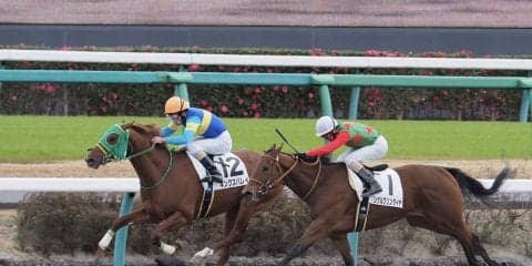 【中山5R/新馬】キングスバレイがハナ差凌ぎきる