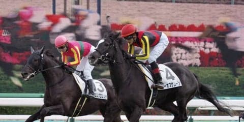 【中山6R/新馬】シーオブザムーンがゴール前差し切る