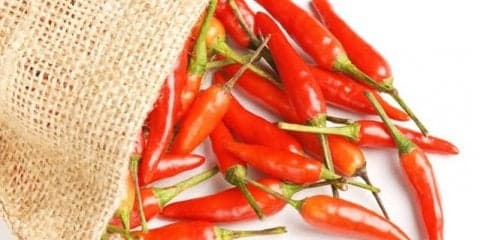 身体が温まる食材とは