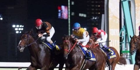 ネロ号が競走馬登録抹消