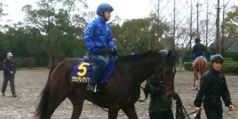 【朝日杯FS】グランアレグリア 38年ぶり牝馬Vの快挙なるか