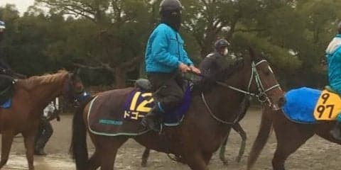 【朝日杯FS】ドゴール 黒岩師「ここでもいい脚を使ってくれる」