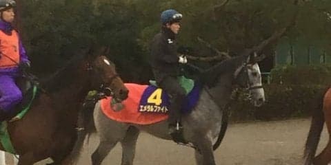 【朝日杯FS】エメラルファイト 1勝馬でも実力上位で侮れない