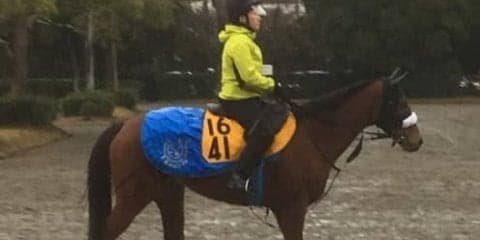 【ターコイズS】フロンテアクイーン 国枝師「状態は高いレベルで安定」