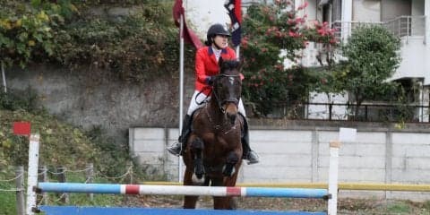 【馬術】17年ぶり３連覇！ 直接対決で早大を圧倒する/第69回全慶應義塾対全早稲田馬術定期戦