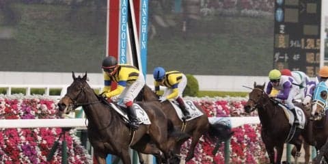 【阪神6R/新馬】ミッドナイトラヴが逃げ切り！デビューV