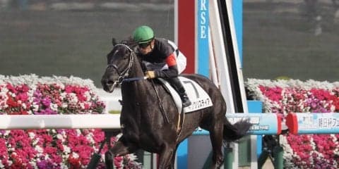 【阪神5R/新馬】キングリスティアが逃げ切りでデビュー勝ち