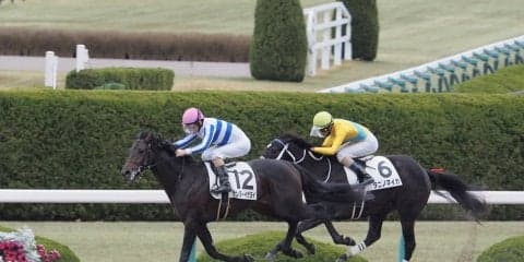 【阪神7R】ナンヨーイザヨイが2勝目！後方から差し切る