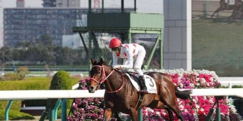 【阪神4R】ミッキーブリランテが人気に応えて初勝利