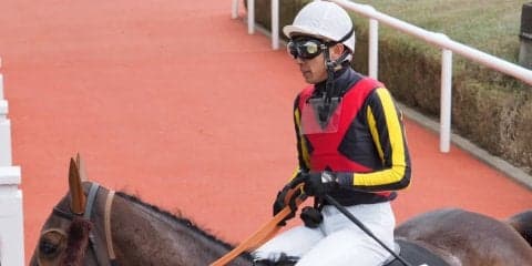 【蛍池特別】武豊レイズアベールがゴール前強襲！差し切りV