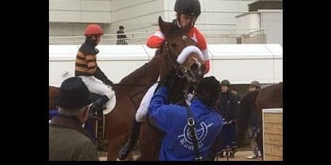 日曜中山６Ｒ新馬はディープインパクト産駒のレッドアステルがＶ