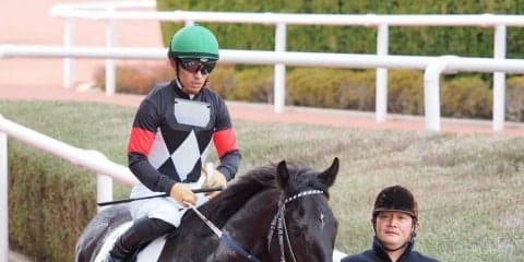 【阪神5R/新馬】川田「性格が真面目」キングリスティアが逃げ切る