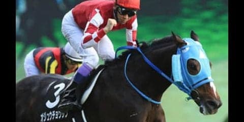 平成最後の有馬記念で、「レジェンド」オジュウチョウサンに馳せる夢