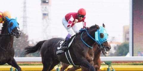 【有馬記念】登録馬と見どころ オジュウチョウサンなど