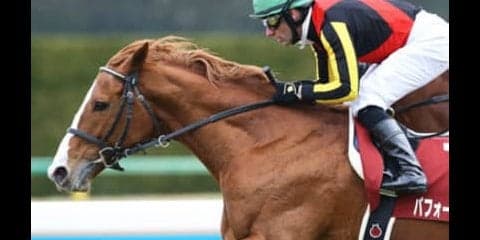 奇跡や伝説が生まれる有馬記念。ならば平成最後は大穴３頭に夢を託す