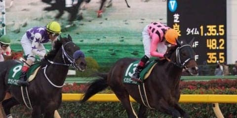 インカンテーション号が競走馬登録抹消
