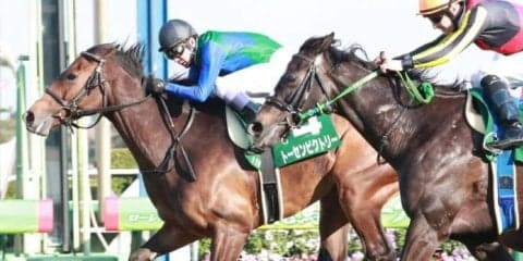 トーセンビクトリー号が競走馬登録抹消
