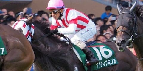 アクティブミノル号が競走馬登録抹消