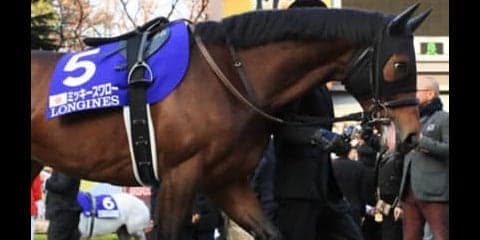 有馬記念は荒れる。穴党記者が送る「３頭」のクリスマスプレゼント