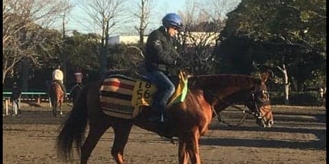 【阪神カップ】ムーンクエイク 1400戦で巻き返しなるか