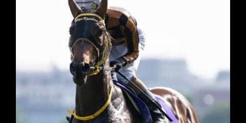 １年の総決算。有馬記念は今年強かった４歳、しかも牝馬で決まり