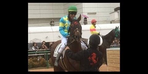 土曜中山５Ｒ新馬はヴィクトワールピサ産駒のアルマスティングが制す