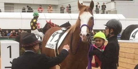 土曜中山６Ｒ新馬は５番人気の伏兵・トーアシオンが逃げ切り勝ち