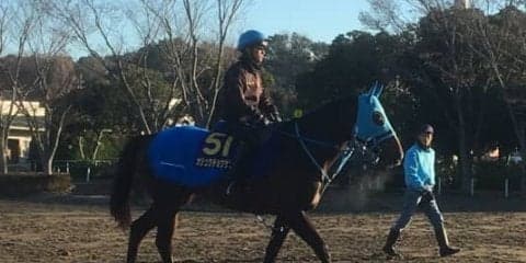 【有馬記念】オジュウチョウサン 和田郎師「最後まで目を離さず応援してもらえたら」