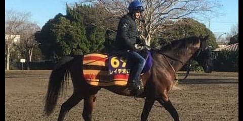 【有馬記念】レイデオロ ゆとりあるローテでグランプリ制覇目指す