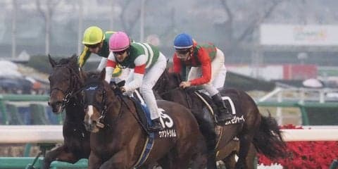 【グッドラックハンデキャップ】ヴァントシルムが差し切る！ルメール本日4勝目