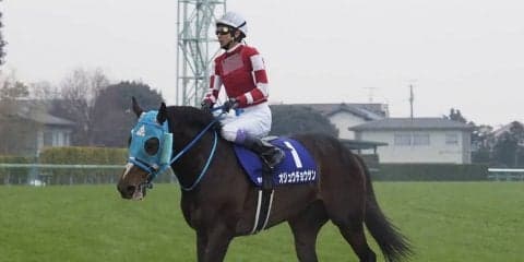 【有馬記念】オジュウチョウサン9着敗退も堂々とした走りを披露！武豊「今年の有馬記念を彼は盛り上げた」