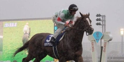 ネオリアリズム号が競走馬登録抹消