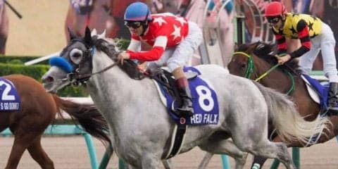 レッドファルクス号が競走馬登録抹消
