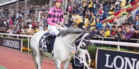 スマートレイアー号が競走馬登録抹消