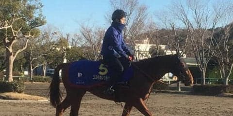 【ホープフルS】コスモカレンドゥラ  豊富なキャリアでG1取りを狙う