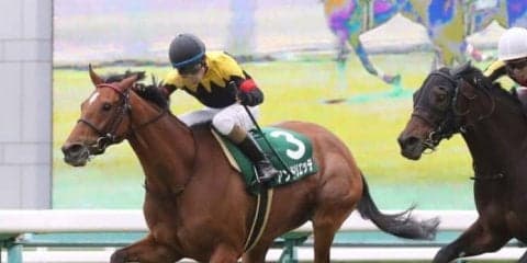 マーメイドSの勝ち馬アンドリエッテ号が競走馬登録抹消