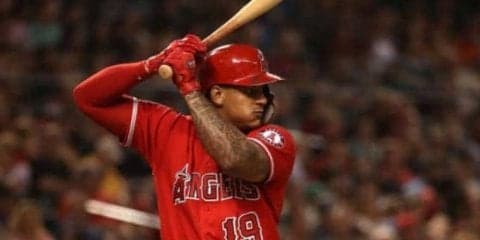 阪神、新助っ人マルテは掛布の「31」に決定　ガルシアは「77」に