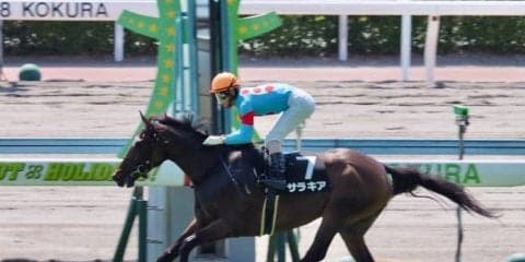 【京都金杯】出走馬の調教後の馬体重