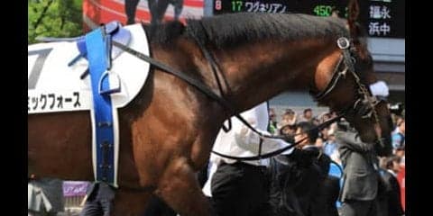 明け４歳世代がやっぱ強いのか。東西の金杯でおいしく乾杯できる４頭