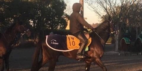 【中山金杯】ヤングマンパワー 久々2000mで変わり身期待