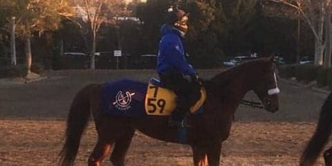 【中山金杯】サンマルティン  マーフィーを背に初タイトル狙う