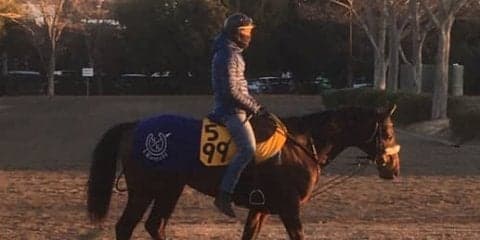 【中山金杯】コズミックフォース 人馬共に復活の期待