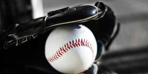 プロ野球界・消えたニックネーム伝説　ウルフ、ハマの龍神、マッサン…